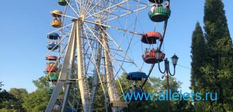 Новые пенсии и зарплаты, изменения в страховом законодательстве — законы вступающие в силу с октября