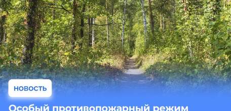 Особый противопожарный режим установлен в лесах Липецкой области с 1 по 21 октября