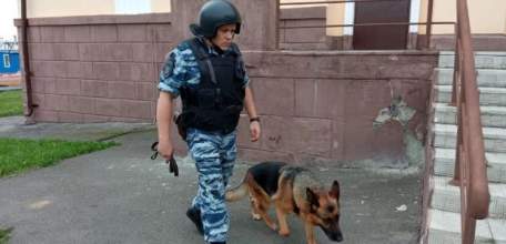 В школах Ельца кинологи ищут взрывные устройства