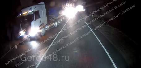 Кроме лошади под Ельцом погибли ее жеребенок, и второй, еще не родившийся малыш