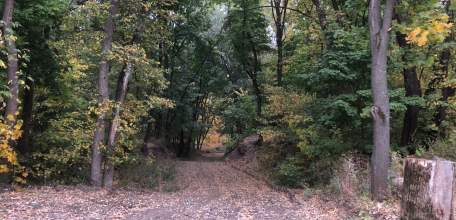 Заморозки придут в Липецкую область на выходных