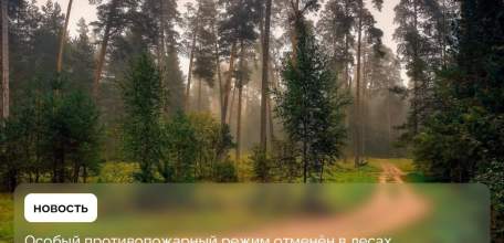 В администрации Липецкой области разрешили гулять в лесу!