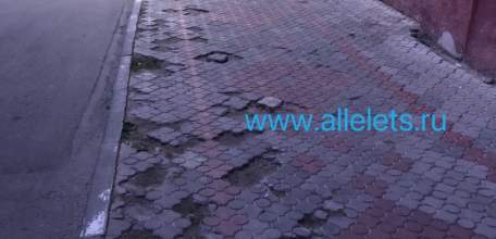 Глава Ельца будет отвечать за бездействие?