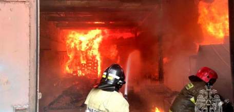 Сотрудники МЧС России ликвидировали пожар в Липецкой области, в пригороде Ельца