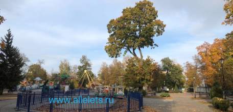 Красный уровень опасности по БПЛА объявлен в Ельце и Елецком районе!