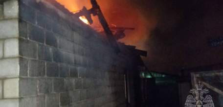 Пожарные спасли из огня собаку в Ельце