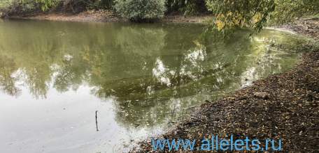 Жители деревни Новый Ольшанец обеспокоены отравленным прудом близ завода химикатов!