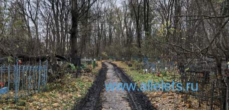 Вот так выглядит в Ельце разбитая дорожка на городском кладбище!