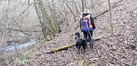 Следком выясняет обстоятельства гибели 20-летней девушки в Ельце