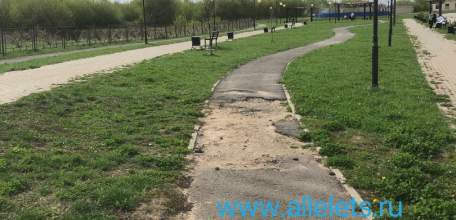 В Ельце поймали вора в микрорайоне Александровский