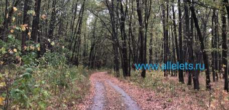 Житель Елецкого района предстанет перед судом за незаконное хранение взрывчатых веществ