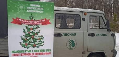 В Липецкой области усилена охрана лесов?