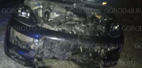 Автомобиль «Порше Кайенн» насмерть сбил кабана