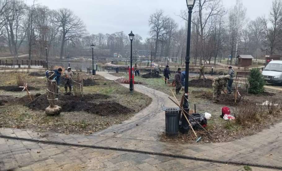 В Петровском парке Ельца посадили чубушник