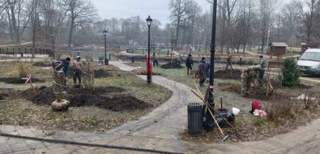 В Петровском парке Ельца посадили чубушник