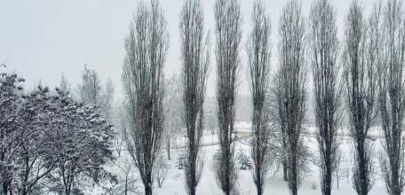 Сильный ветер обрушится на Липецкую область!