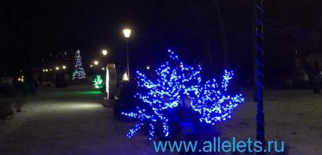 Новогодняя красота под луной в безлюдном Детском парке Ельца!
