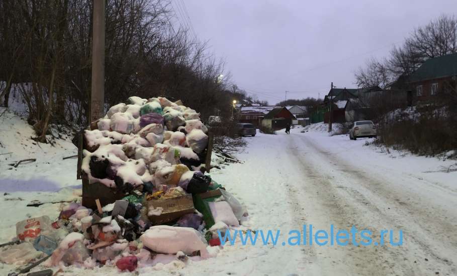 Обращение к главе города Ельца