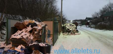 Обращение к главе города Ельца