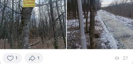 В парке Ельца сотрудники администрации умышленно повредили деревья? Прибив таблички к деревьям!