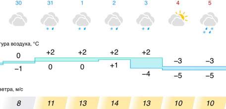 Прогноз погоды в Ельце на начало недели нового года 2025