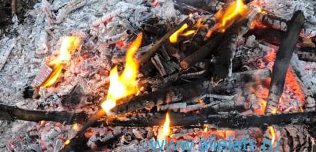 Сегодня Сочельник, или, как его еще называют, Навечерие Рождества Христова – это день накануне праздника, по-своему очень радостный!