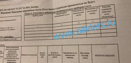 Платёжка за тепло в Ельце за тёплый декабрь 2024 года - 5300 р. Это грабёж населения! Где прокурорские проверки и наказание для виновных? Что за подсчёт?