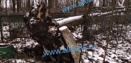 За одиннадцать месяцев 2024 года естественная убыль населения в Липецкой области составила рекордные 8127 человек!