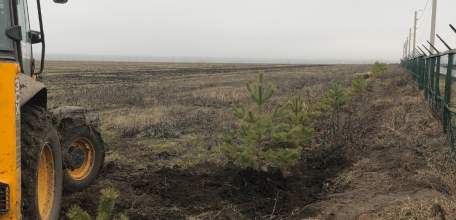 ООО «Риэлтико» благоустраивает территорию вокруг полигона ТБО в Елецком районе