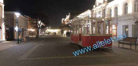 В Ельце бывший руководитель филиала бюро медико-социальной экспертизы признан виновным в получении взяток!