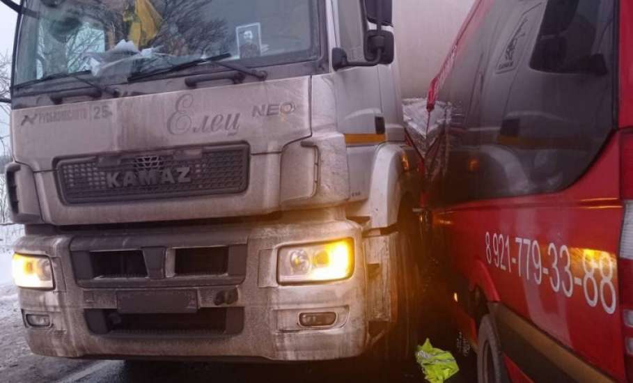 В Ленинградской области в грузовик ельчанина врезался автобус: двое погибших, 13 пострадавших