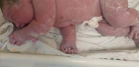 Настоящий богатырь родился в Липецке