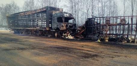 Неизвестный водитель врезался в грузовик — два человека сгорели!
