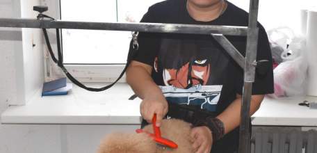 Салон красоты открыла елецкая студентка в п. Солидарность