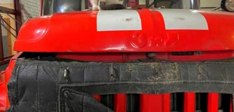 1 марта в России отмечается День кошек!