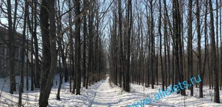 В Ельце несовершеннолетний предстанет перед судом за причинение однокласснику тяжкого вреда здоровью