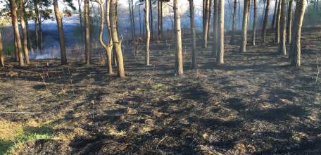 Опять начинаются пожары!