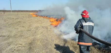 Помните: за самовольное сжигание сухой растительности или ее остатков предусмотрена административная и уголовная ответственность!