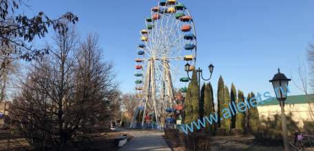 МВД предупредило о схеме мошенников со списанием денег при звонке!