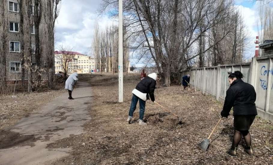 Коллективы образовательных организаций вносят свой вклад в уборку Ельца