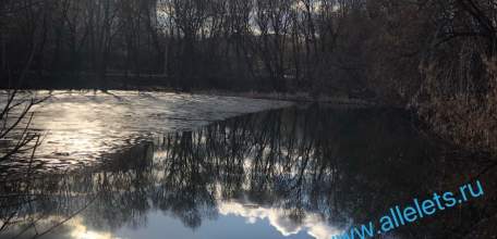 В районе Бугра образовалась большая несанкционированная свалка мусора!