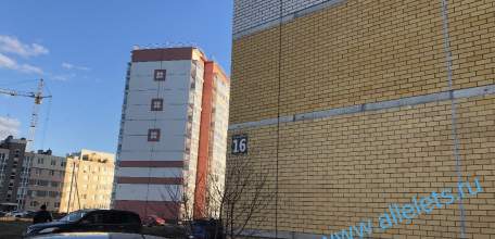 Знатных крыс развели в Ельце!