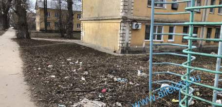В Засосне очень грязные дворы! Мусора полно!