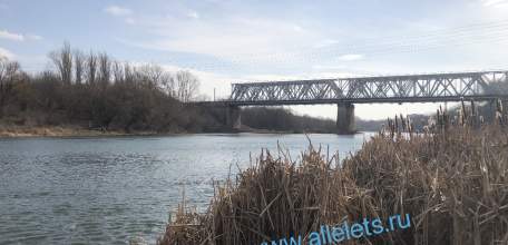 Более 40% компаний в России могут провести массовые увольнения в этом году