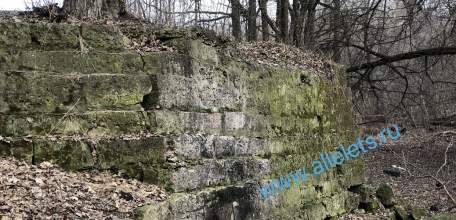 Когда-то в этом лесу был старинный мост в пригороде Ельца