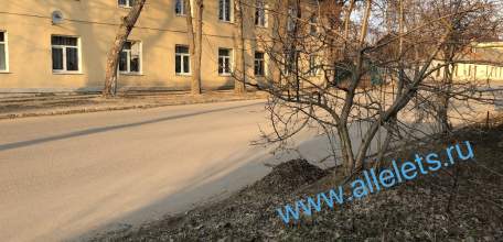 Субботник в Ельце оказался с подвохом