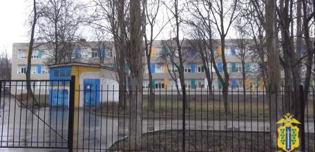 Подросток из Ельца 2 раза «заминировал» школу!