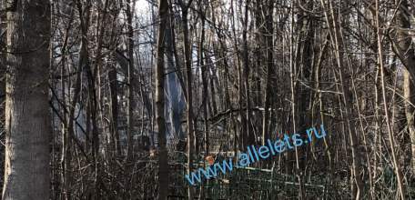 Пожароопасный сезон в Ельце открыли сегодня кострами!