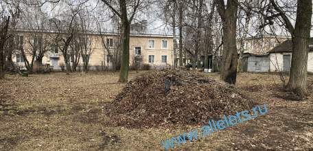 Вечерние новости Ельца: в каком году вывезут мусор с прошедшего субботника?!