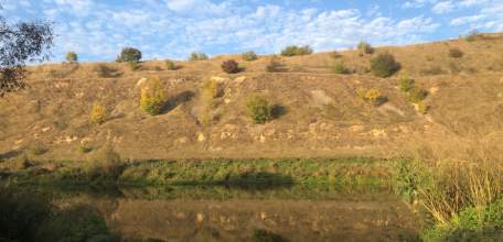 Крупный фолк-фестиваль будет в парке «Аргамач» Елецкого района. Пройдёт 12-15 июня